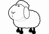 Fluffy Coloring Sheep Color Pages 237px 53kb sketch template