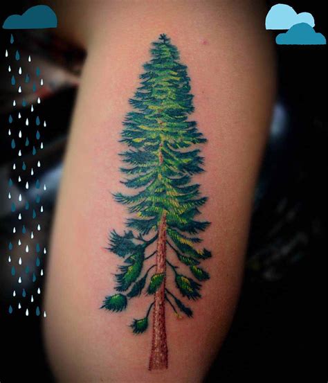 Pine Tree Tattoo Best Tattoo Ideas Gallery