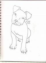 Pitbull Drawings Step Puppy Dogs Paintingvalley Deviantart sketch template