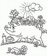 Coloring Pages Pig Pigs Printable Kids sketch template