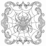 Coloring Pages Spider Symmetrical Zentangle Printable Getdrawings Color Illustration Exciting Getcolorings sketch template