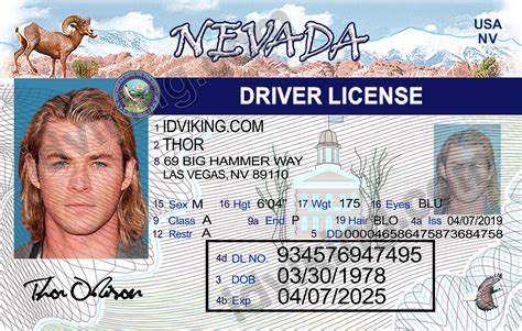 editable nevada drivers license template polerocks