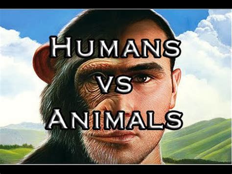 difference  human mind  animal brain kannadiga world