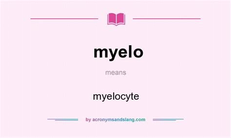 myelo  definition  myelo myelo stands