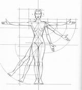 Figure Proportions Proportion Humain Croquis Ange Martel sketch template