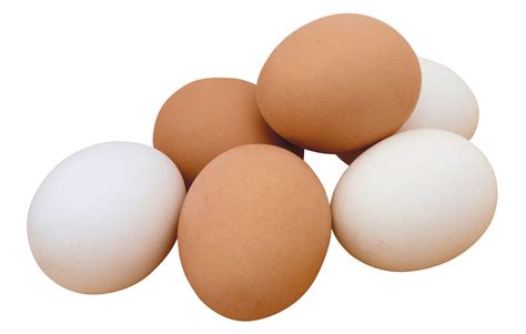 egg png