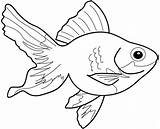 Goldfish Coloring Pages Printable Color Getcolorings Print sketch template