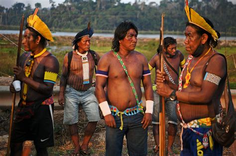 indigenous groups   amazon evolved resistance  deadly chagas bussines technology news