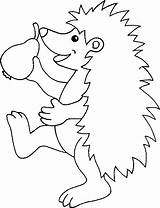 Igel Herbst Ausmalbilder Egel Egels Malvorlagen Ausmalen Hedgehog Kinder Hedgehogs Fensterbilder Animales Erizo Dieren Espinho Porco Kostenlose Malvorlage Drucken Neu sketch template