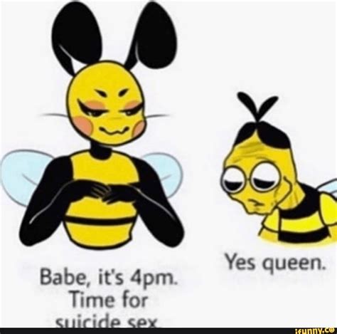 babe  pm time  cuirida  queen ifunny