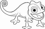 Tangled Pascal Chameleon sketch template