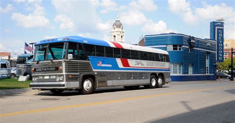 event  bring buses   greyhound station