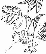Rex Colorir Imprimir Dinossauro sketch template