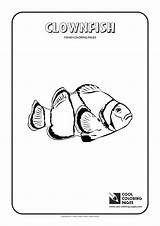 Coloring Pages Clownfish Cool Fishes Kids Print sketch template