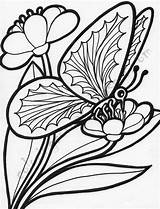 Coloring Butterfly Flower Flowers Butterflies Beautiful Popular sketch template