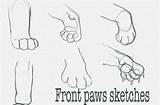 Paw Paws sketch template