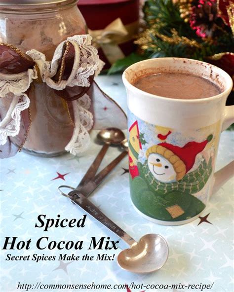 Spiced Hot Cocoa Mix Recipe Secret Spices Make The Mix We Both Love