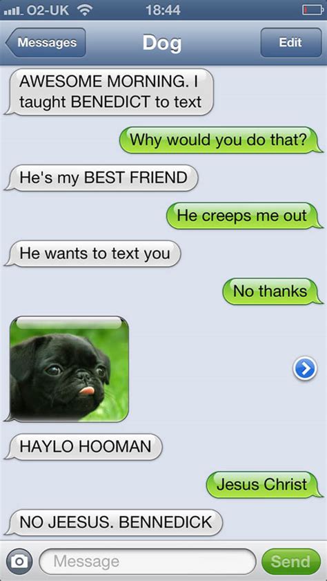dogs  talk    hilarious texts  dog