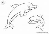 Delfini Animali Stampare Portalebambini sketch template