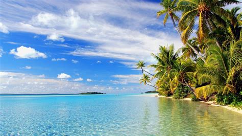 tropical beach wallpaper  pictures