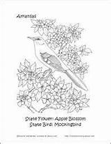 Coloring Pages Arkansas Nature State Learn Bird Printables Choose Board sketch template