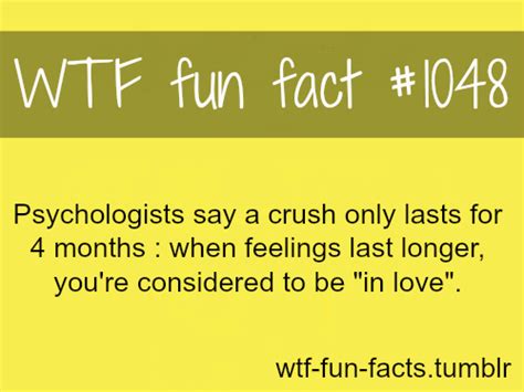 crush and love wtf facts