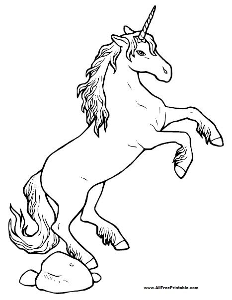 unicorn coloring page  printable