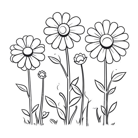 daisy coloring pages printable outline sketch drawing vector flowers