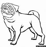 Pug Coloring Pages Dogs Printable Printables Outline Thecolor Color Dog Colouring Animals Activities Clipart Pugs Cute Puppy Puppies Pig Book sketch template