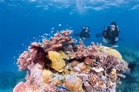 great barrier reef queensland australia nimrod resort