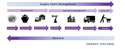 What Is A Supply Chain Cips