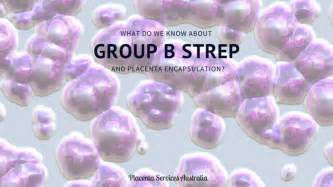 What Do We Know About Placenta Encapsulation And Group B
