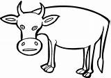 Cow Coloring Pages Funny Outline Printable Template Hereford Cliparts Clipart Color Vaca Dibujo Caricatura Cartoon Gif Cattle sketch template