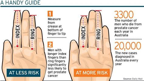 What Does It Mean When A Man S Ring Finger Is Longer Than His Index