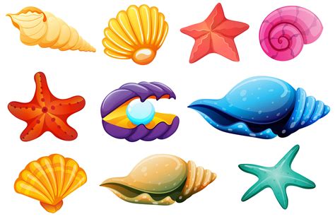 shell vector art icons  graphics