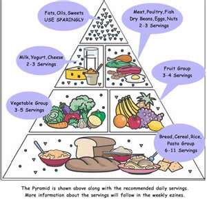 food pyramid ourkizuna