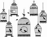 Cage Bird Coloring Pages sketch template