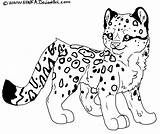 Leopard Coloring Pages Print Snow Animals Cartoon Drawing Printable Cute Clipart Color Kids Animal Leopards Clouded Drawings Clip Popular Craft sketch template