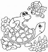 Turtle Coloring Pages Color Animals Animal Print Sheets Back sketch template