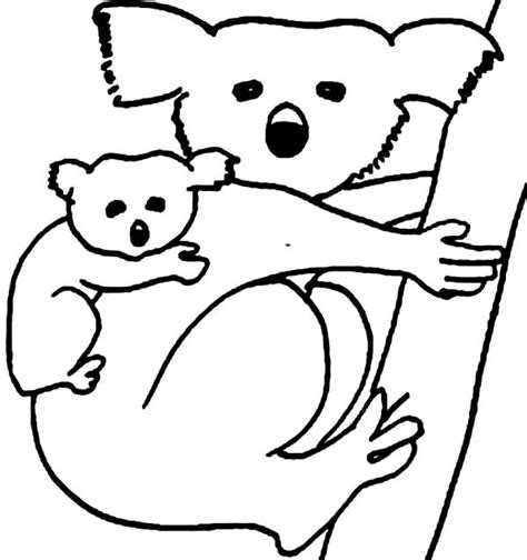 koala bear carrying  baby coloring page color luna