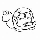 Schildpad Schildpadden Kleurplaat Kleurplaten sketch template