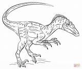 Velociraptor Coloring Clipart Pages Library sketch template