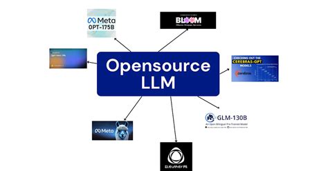 rise  open source large language models