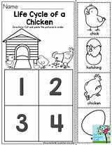 Ciclo Ciclos Egg Sequencing Chickens Aprendizaje Cloudshareinfo Temporales Nociones Preescolares Matemáticas Moffattgirls sketch template