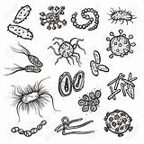 Bacterias Shareasale Biología Biologia Dibujos sketch template