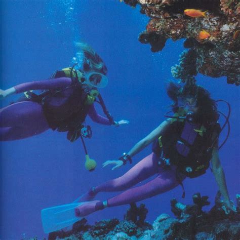 1000 Images About Scuba Diving On Pinterest