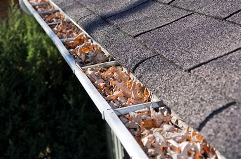 signs    clogged gutters community roofing restoration