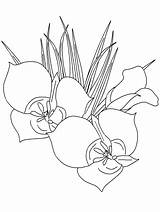 Fiori Blumen Natura Geranio Fiore Animali Malvorlage Coloratutto Disegnidacolorareperadulti Gifgratis sketch template