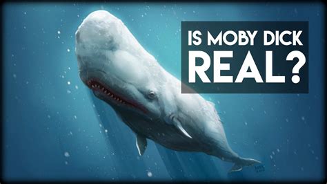 Is Moby Dick Real Youtube