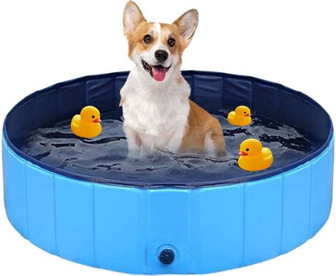 hondenbad hondenzwembad huisdierzwembad opvouwbaar hondenzwembad